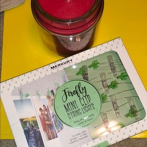 Cactus mini clip string lights